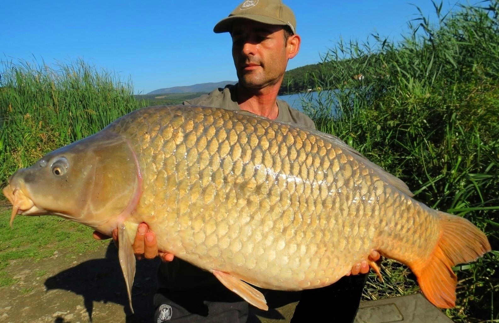 The best pictures of 2013 - 19,150